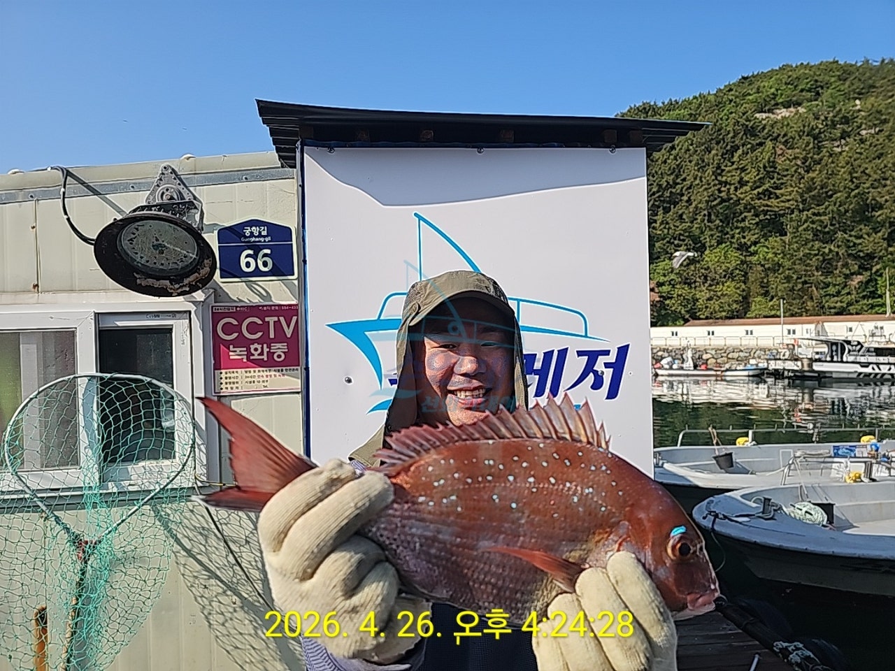 사용자가 올린 이미지