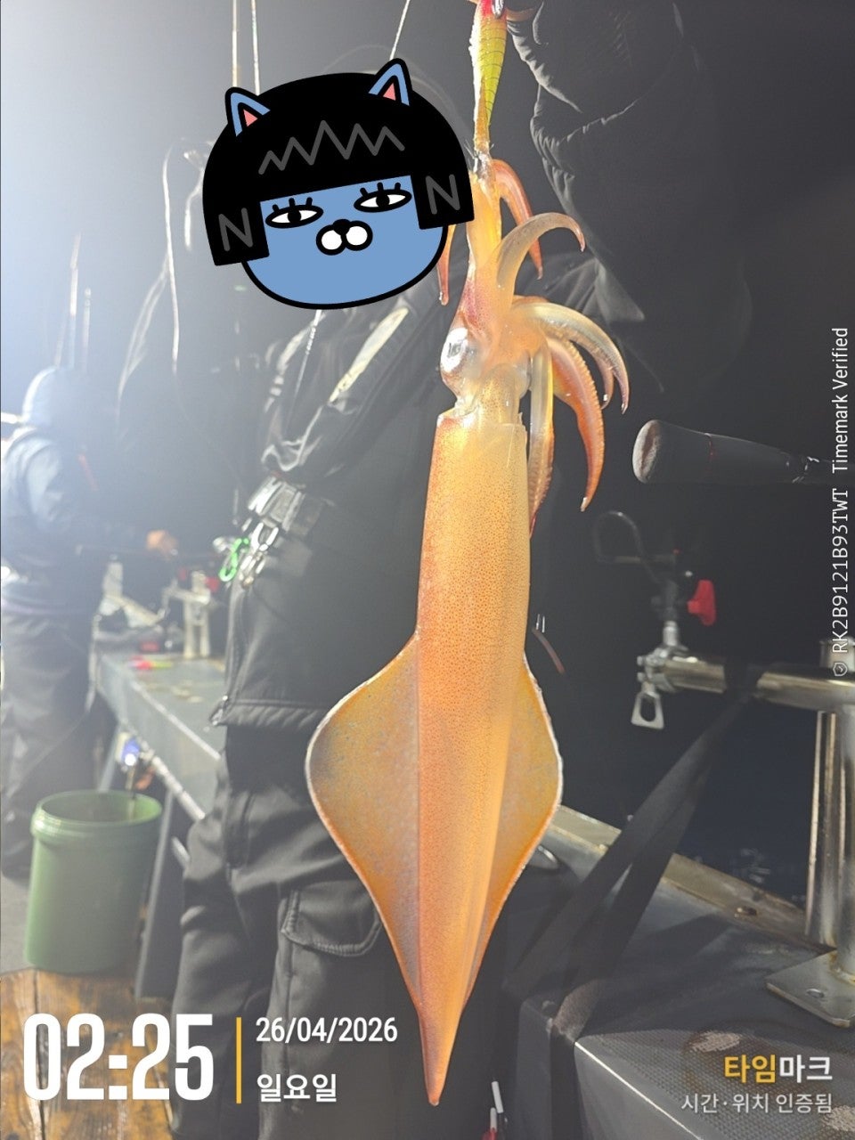 사용자가 올린 이미지