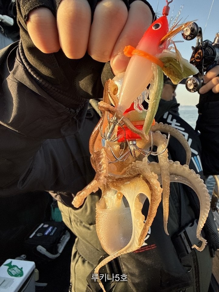 사용자가 올린 이미지