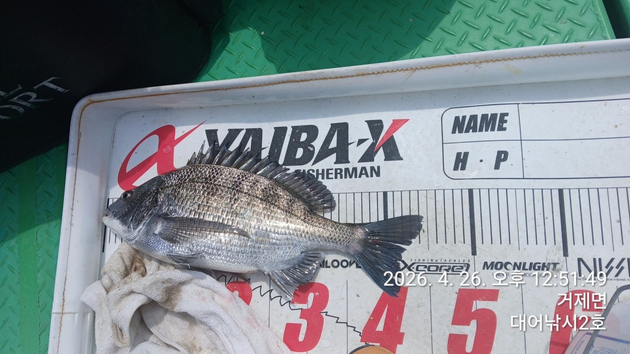 ����ڰ� �ø� �̹���