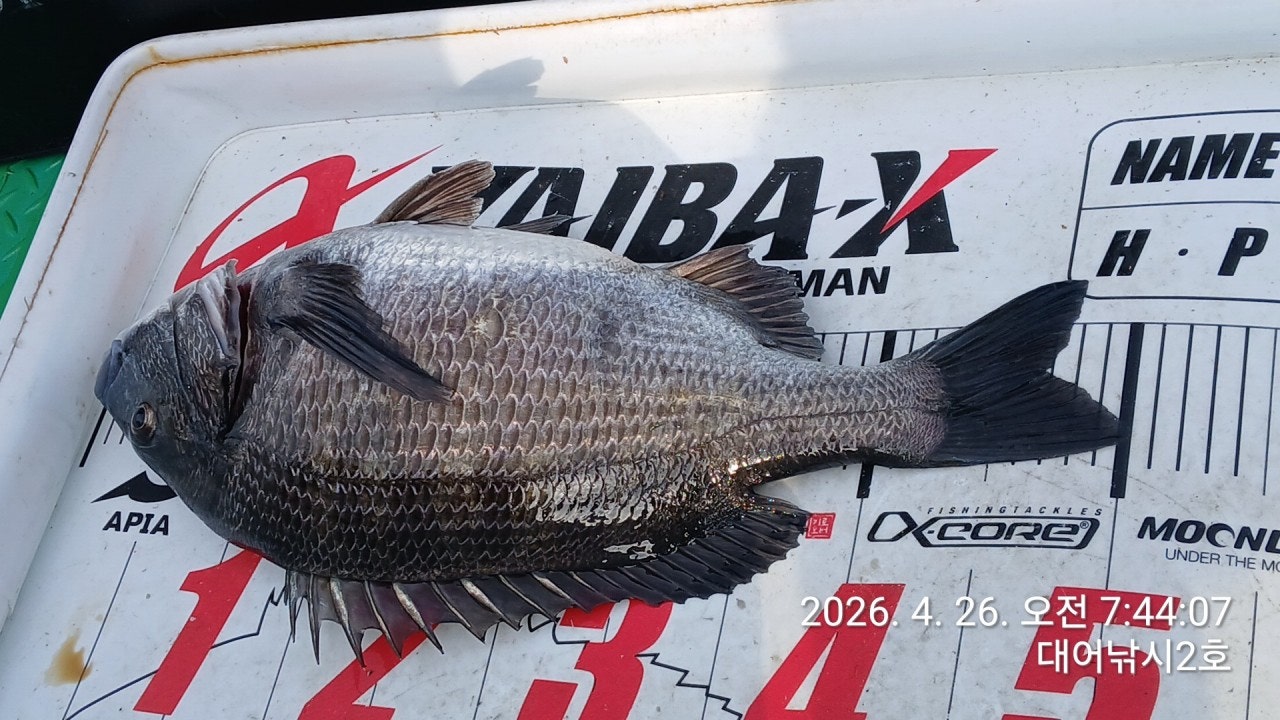 ����ڰ� �ø� �̹���