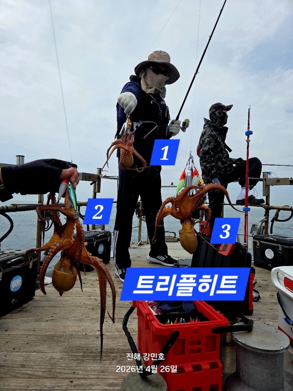 ����ڰ� �ø� �̹���