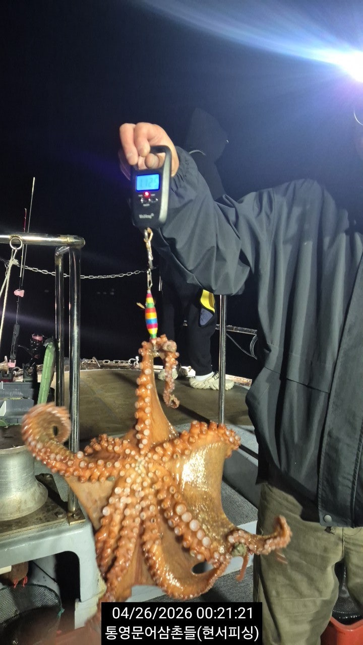 ����ڰ� �ø� �̹���