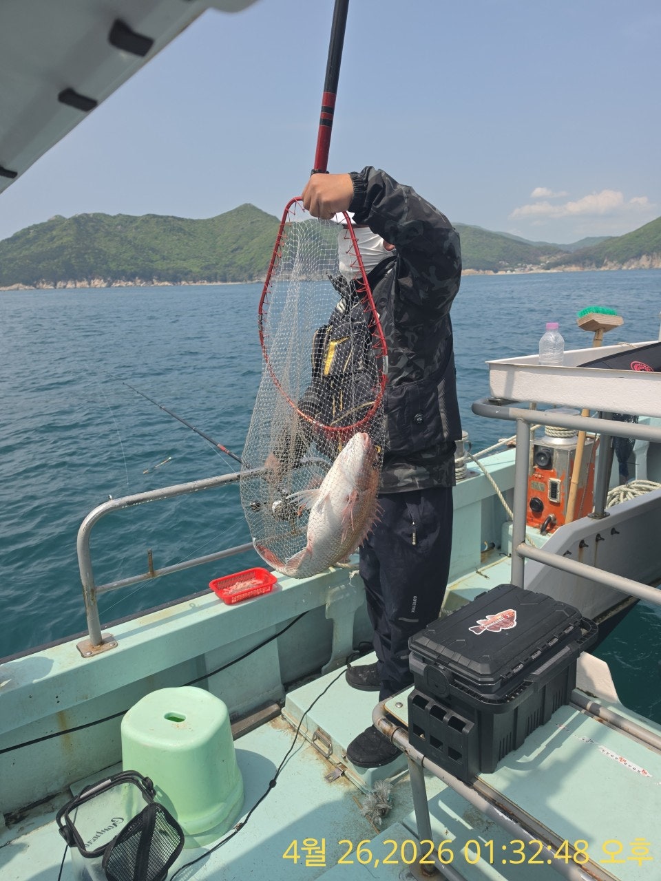 ����ڰ� �ø� �̹���