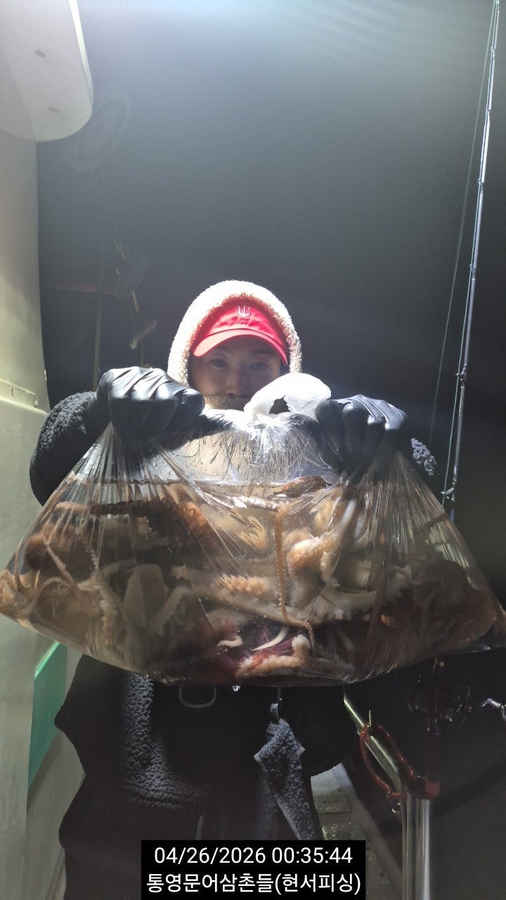 ����ڰ� �ø� �̹���