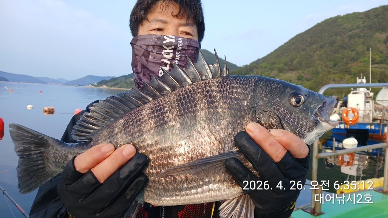 ����ڰ� �ø� �̹���