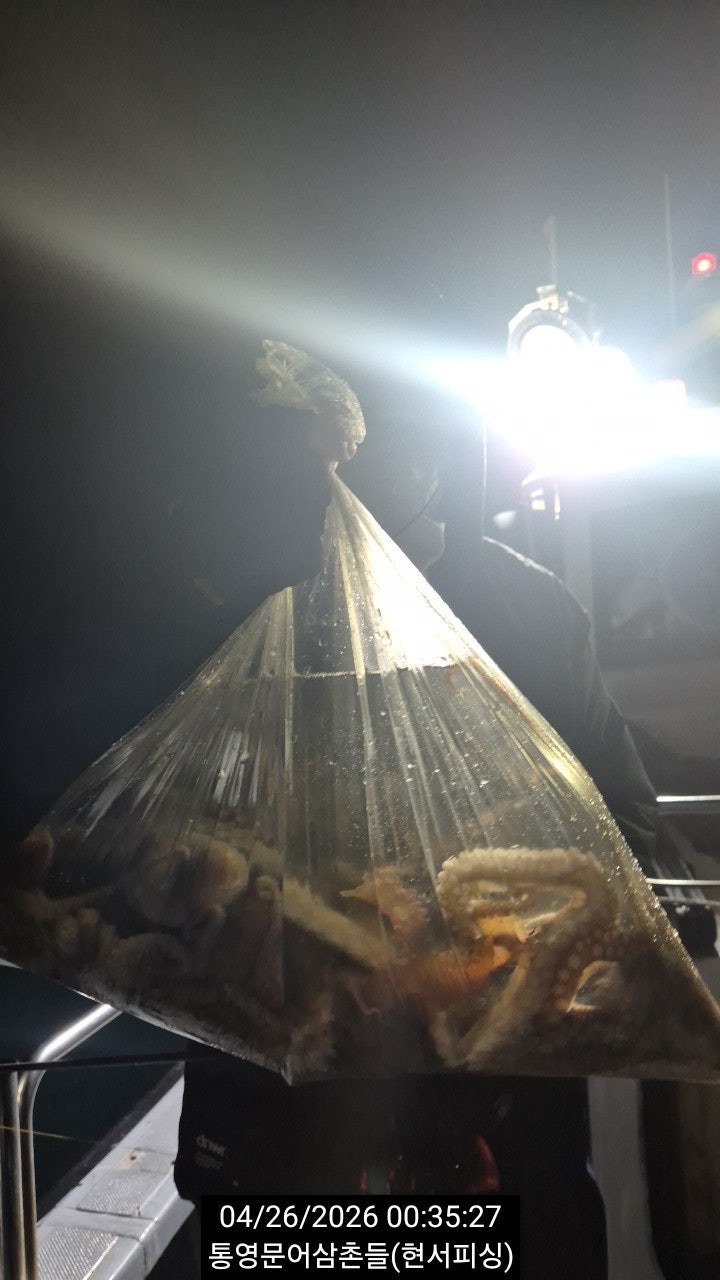 ����ڰ� �ø� �̹���