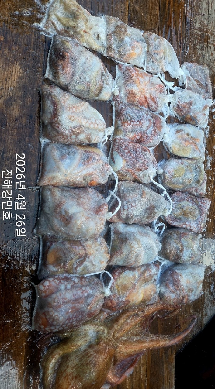 ����ڰ� �ø� �̹���