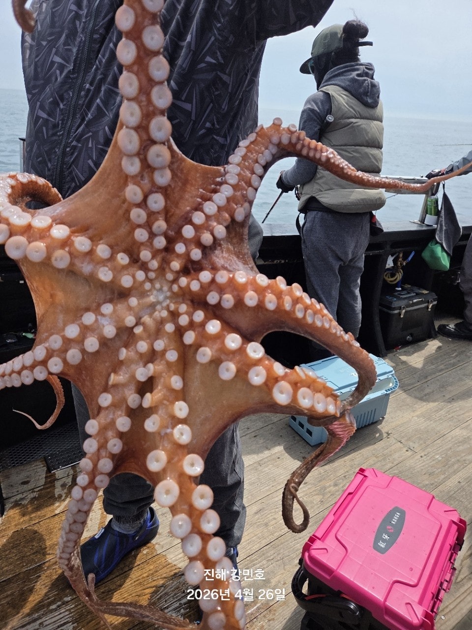 ����ڰ� �ø� �̹���