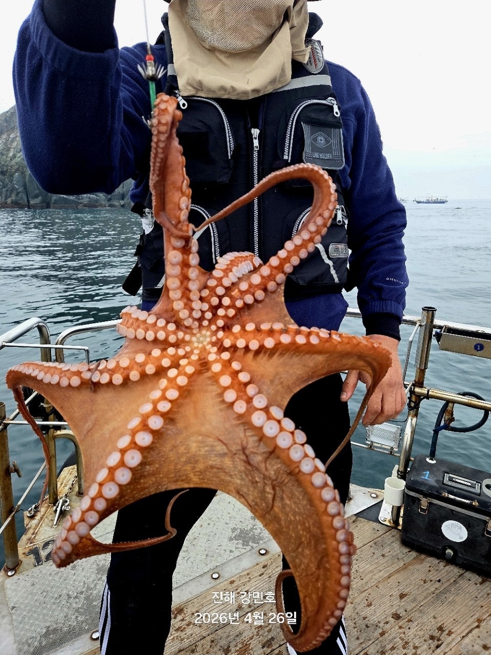 ����ڰ� �ø� �̹���