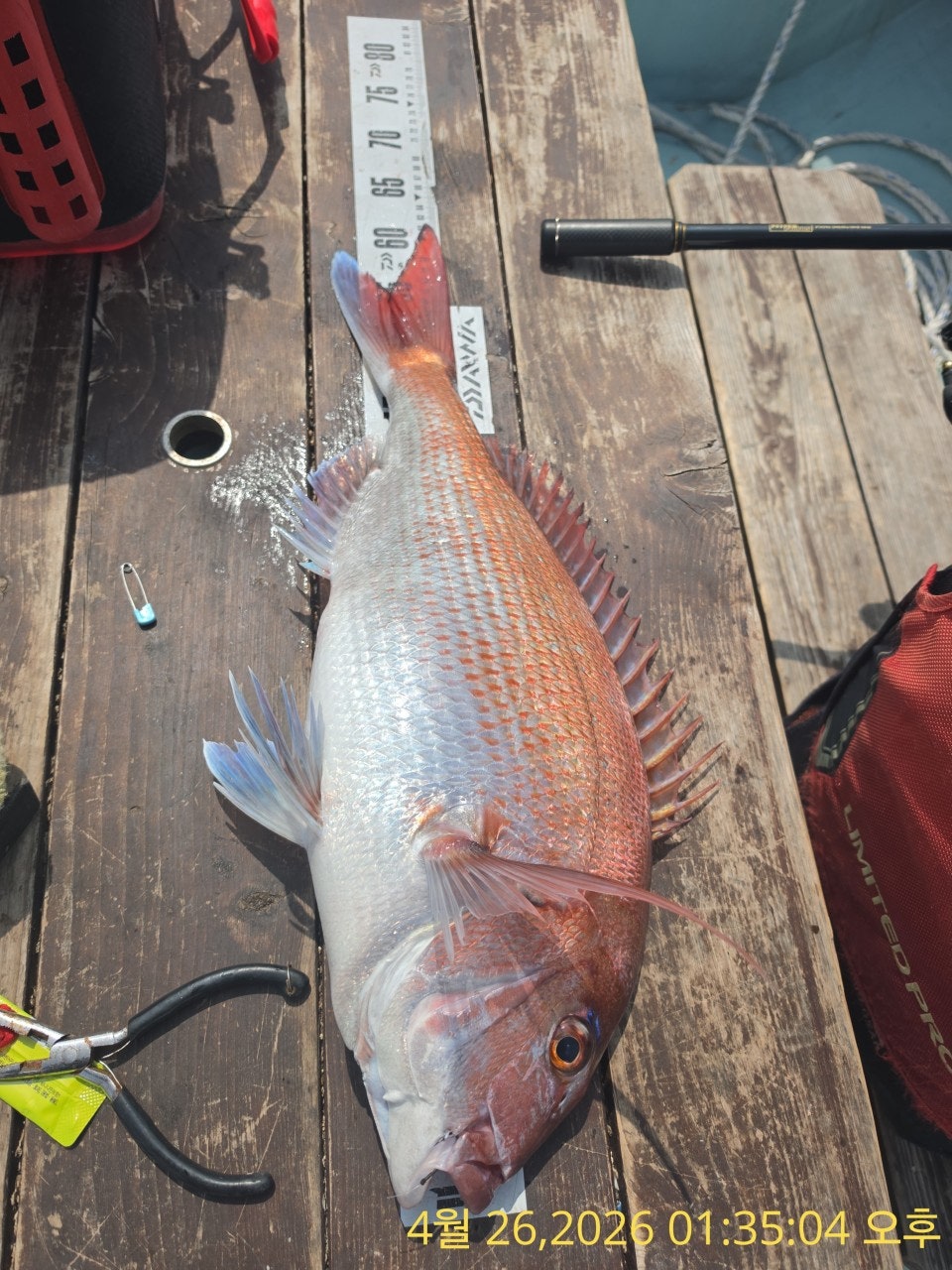 ����ڰ� �ø� �̹���