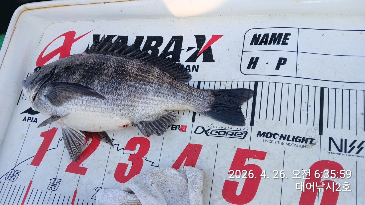 ����ڰ� �ø� �̹���