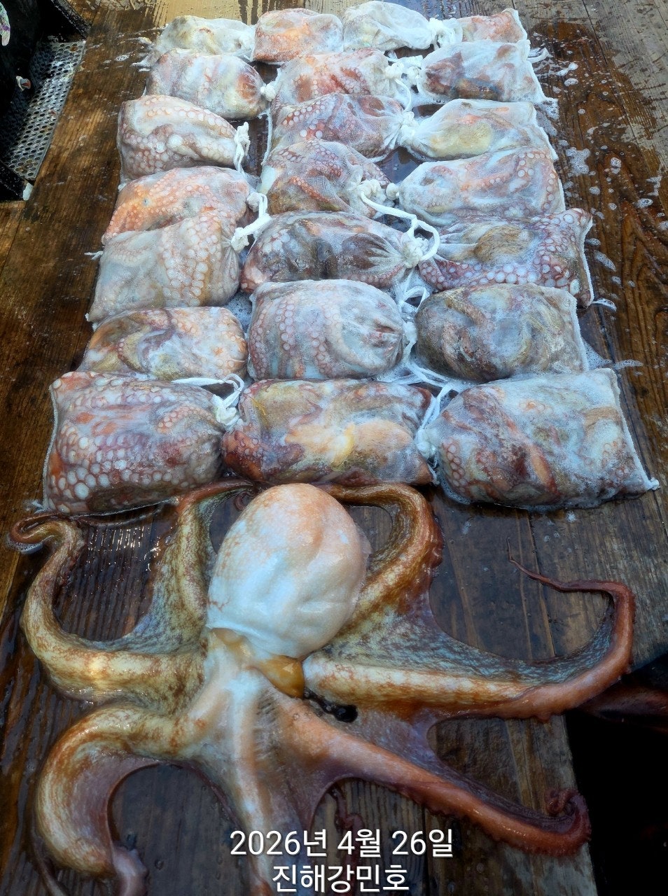 ����ڰ� �ø� �̹���