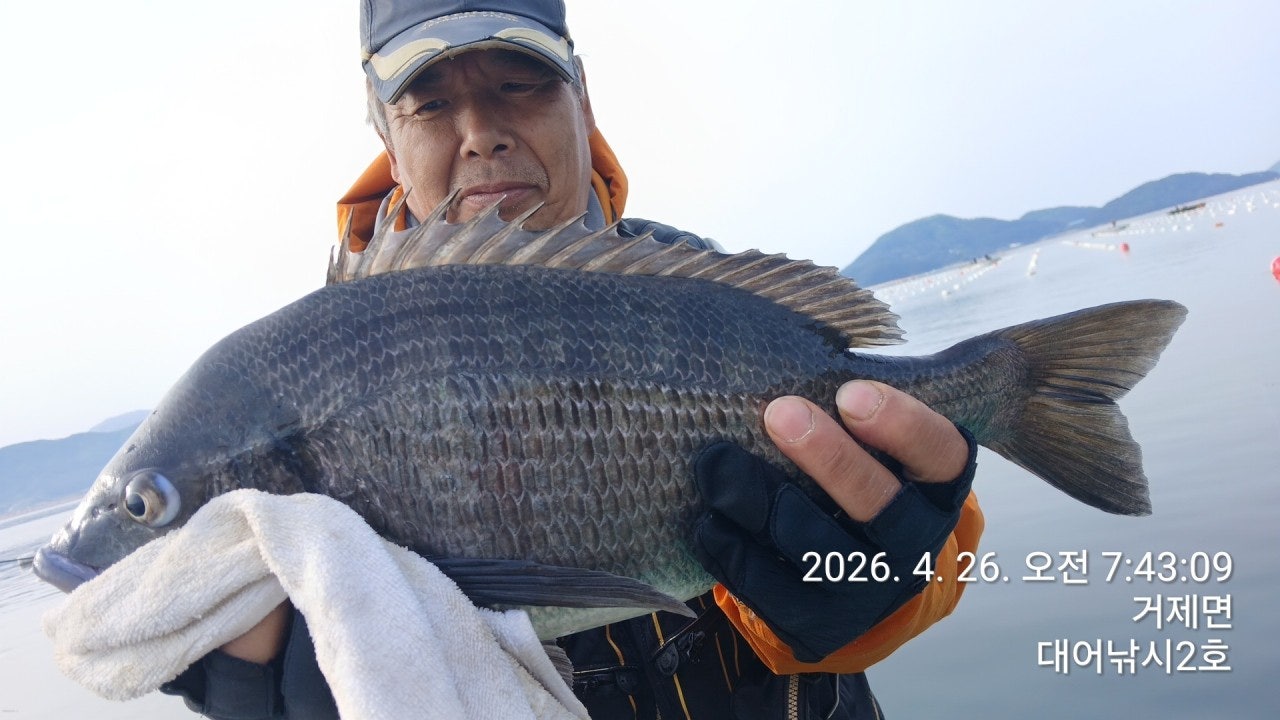 ����ڰ� �ø� �̹���