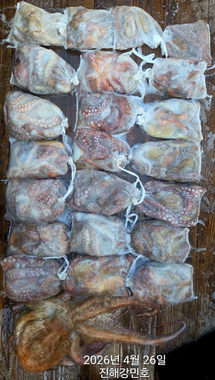 ����ڰ� �ø� �̹���