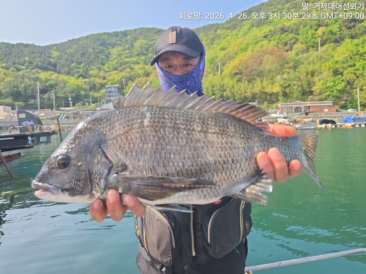 ����ڰ� �ø� �̹���