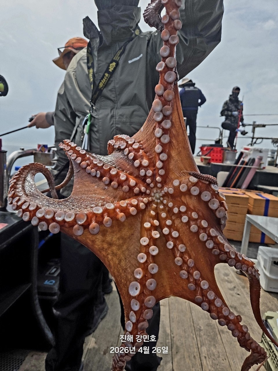 ����ڰ� �ø� �̹���