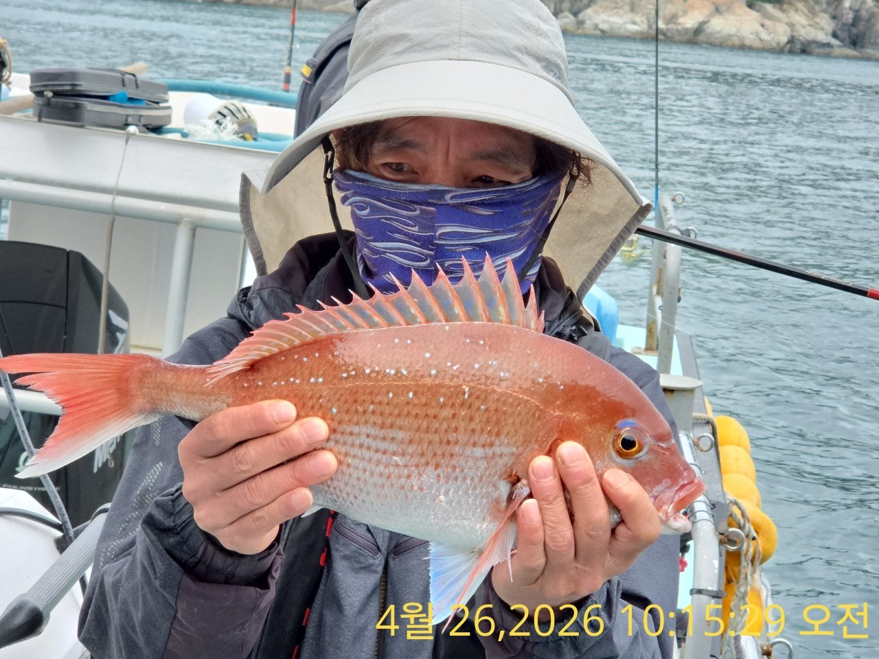 ����ڰ� �ø� �̹���