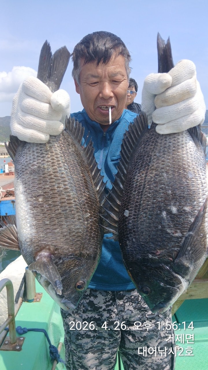 ����ڰ� �ø� �̹���