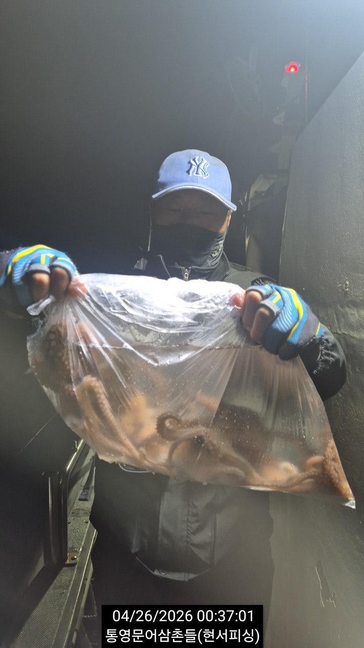 ����ڰ� �ø� �̹���