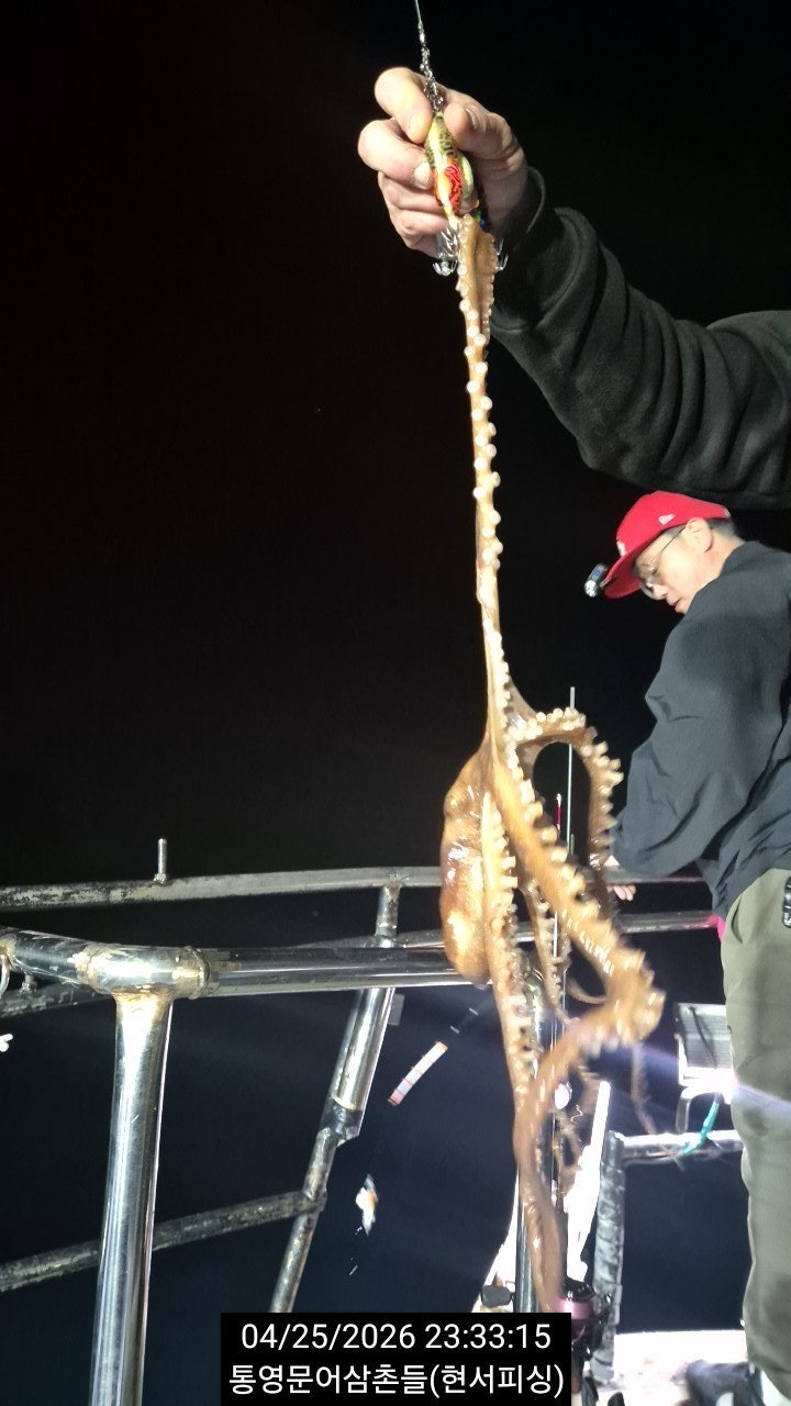 ����ڰ� �ø� �̹���