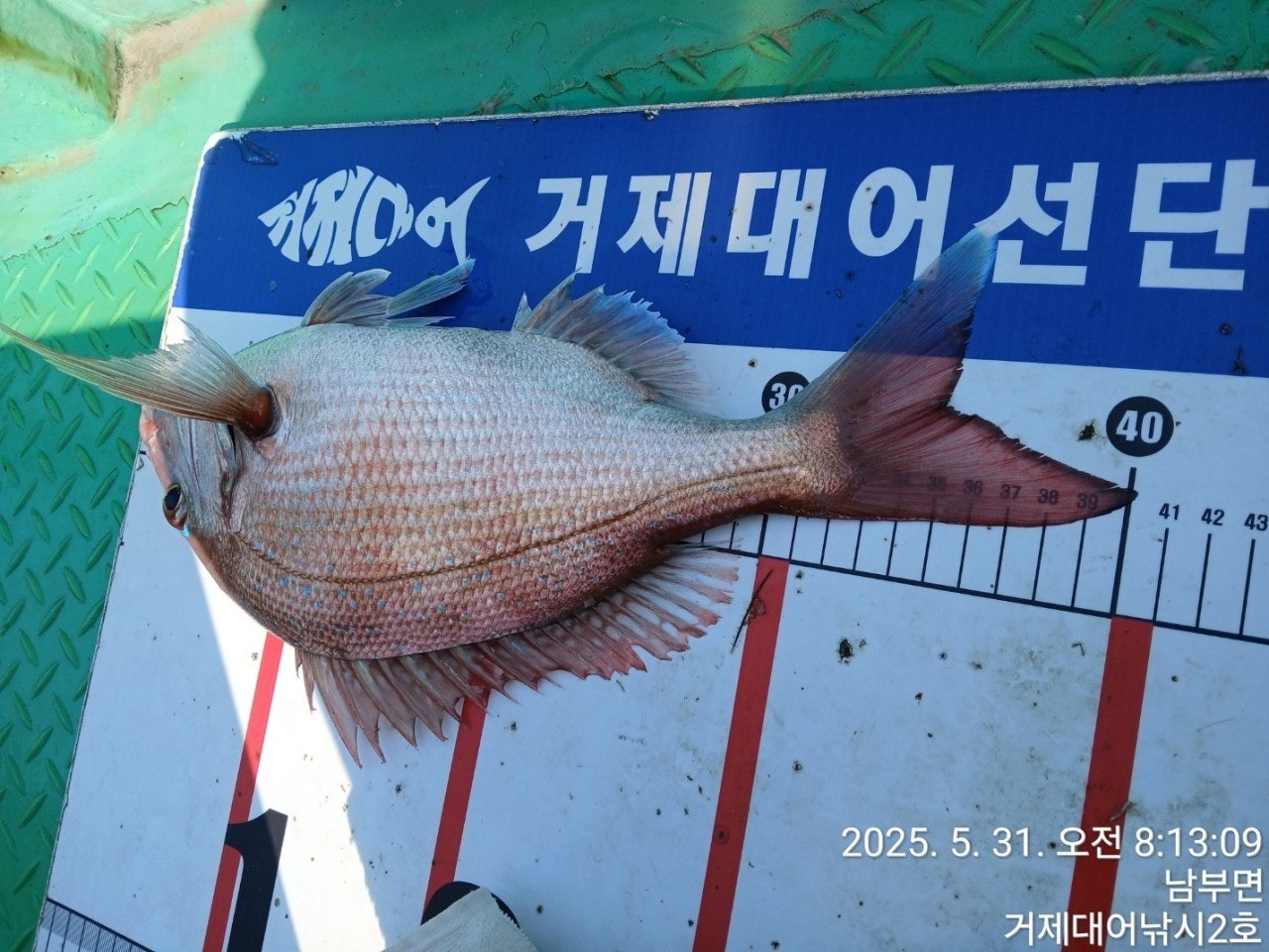 ����ڰ� �ø� �̹���