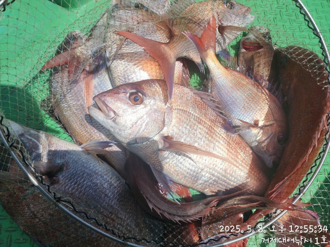 ����ڰ� �ø� �̹���