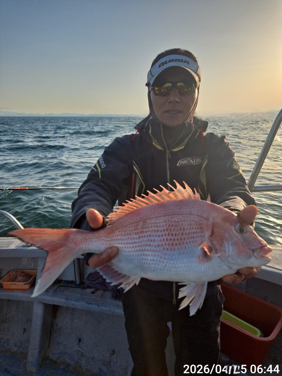 ����ڰ� �ø� �̹���