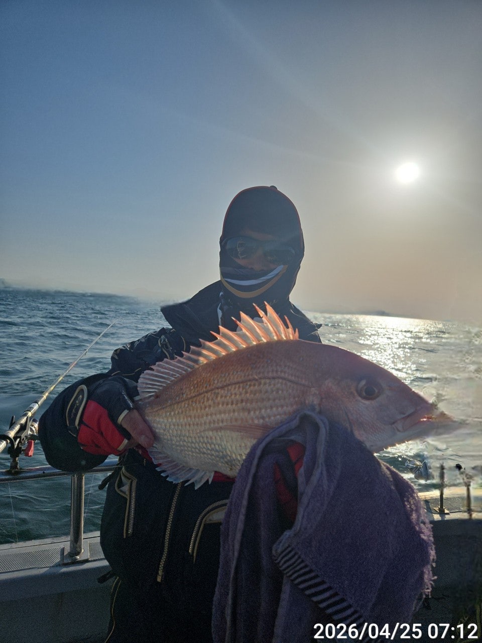 ����ڰ� �ø� �̹���