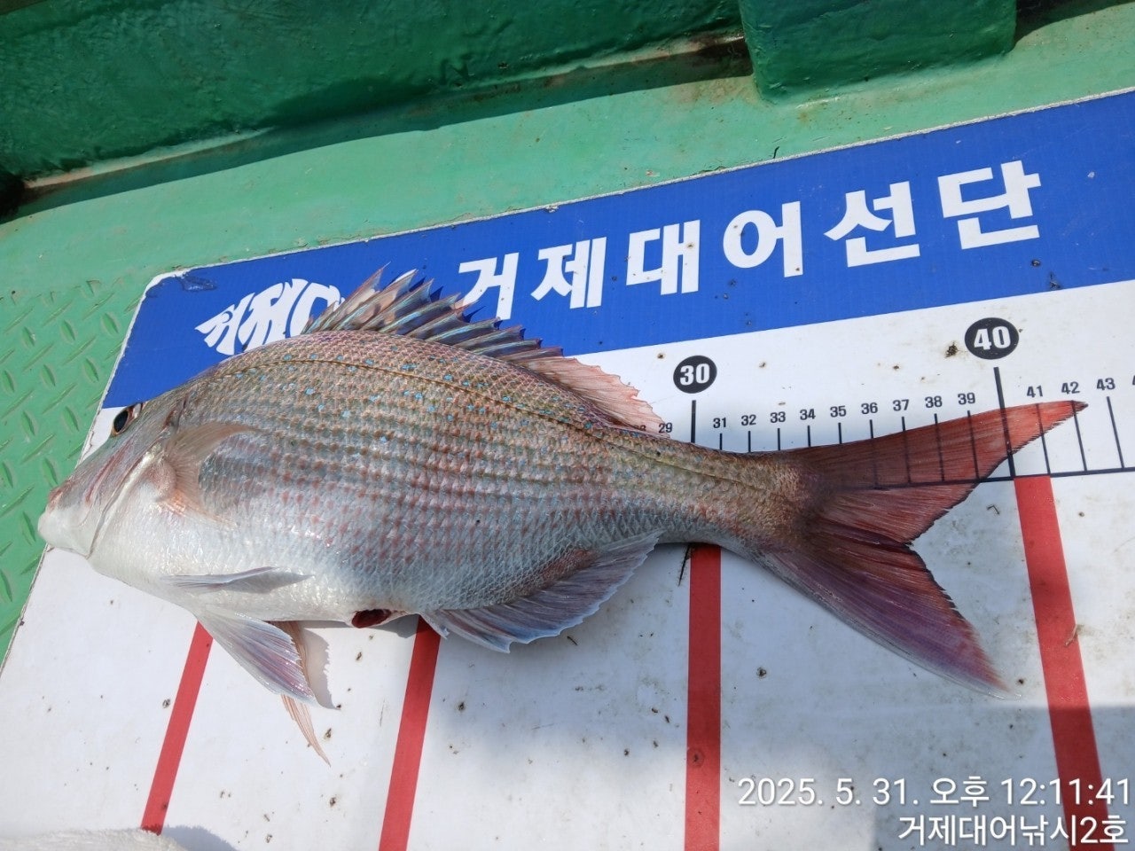 ����ڰ� �ø� �̹���