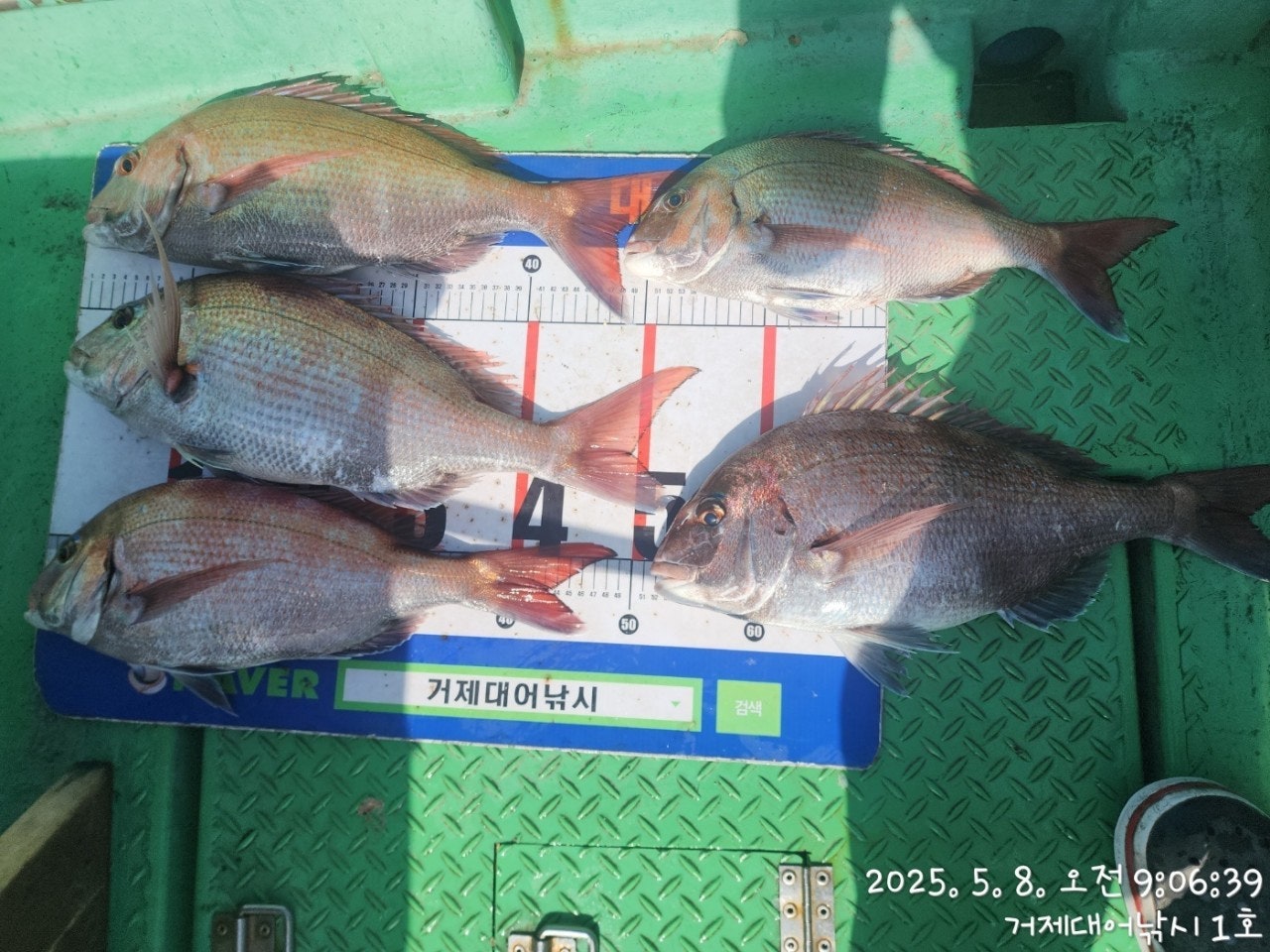 ����ڰ� �ø� �̹���