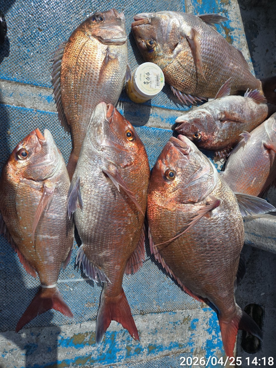 ����ڰ� �ø� �̹���