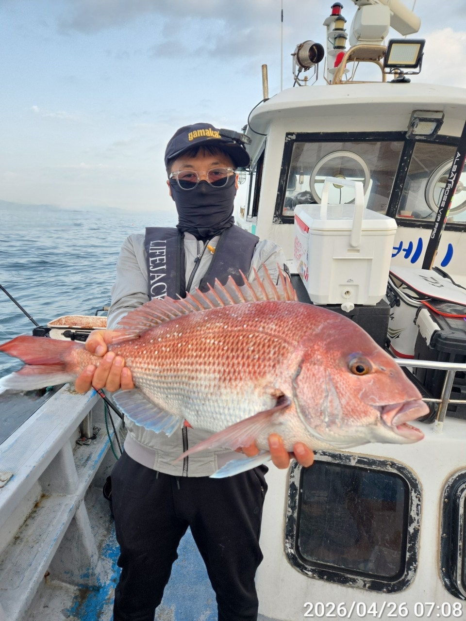 ����ڰ� �ø� �̹���