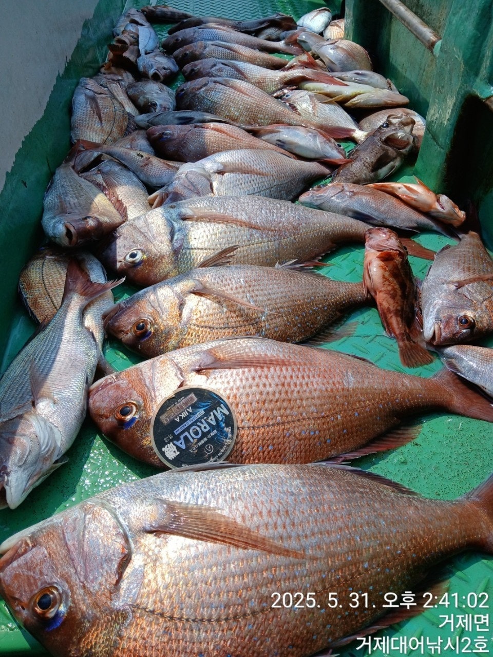 ����ڰ� �ø� �̹���