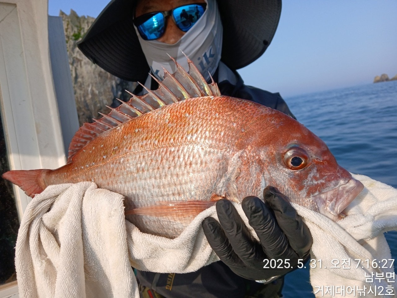 ����ڰ� �ø� �̹���