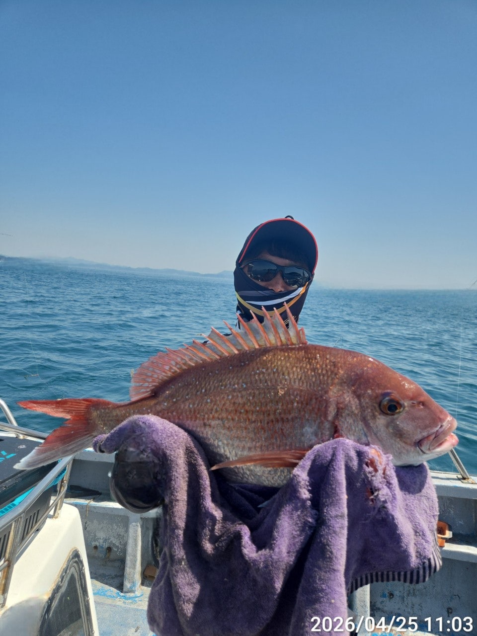 ����ڰ� �ø� �̹���