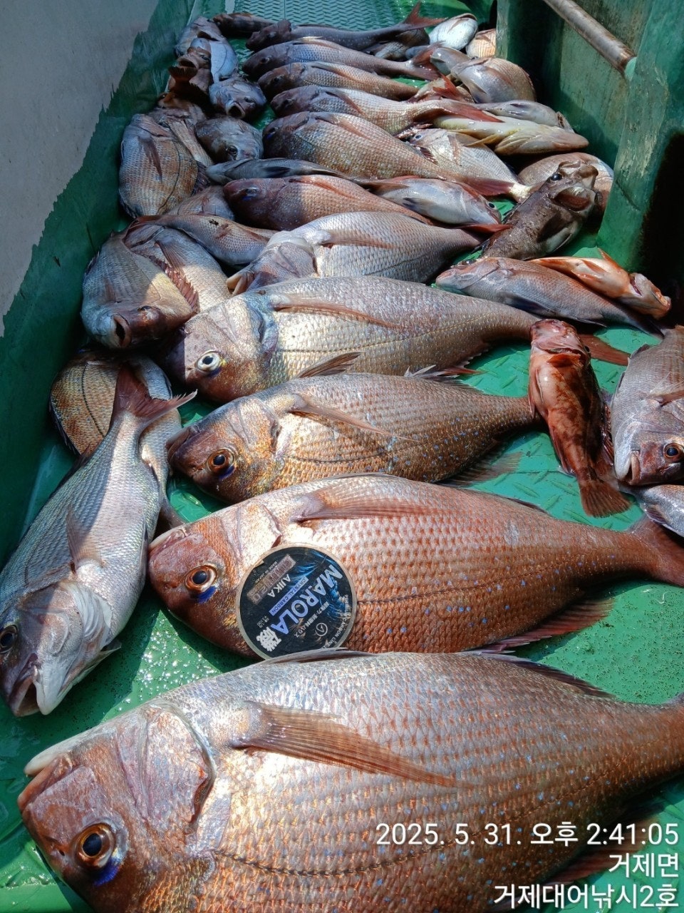 ����ڰ� �ø� �̹���