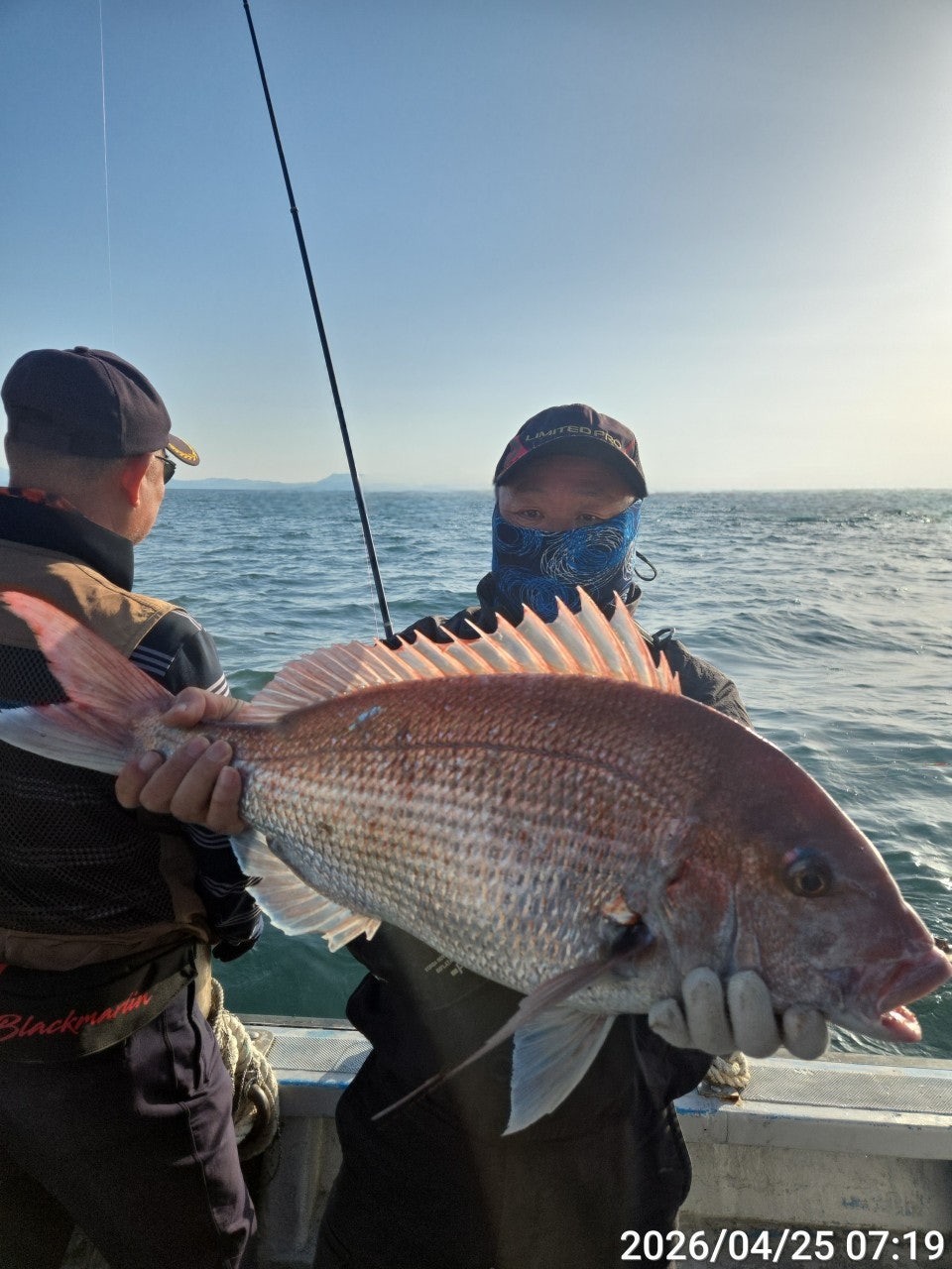 ����ڰ� �ø� �̹���