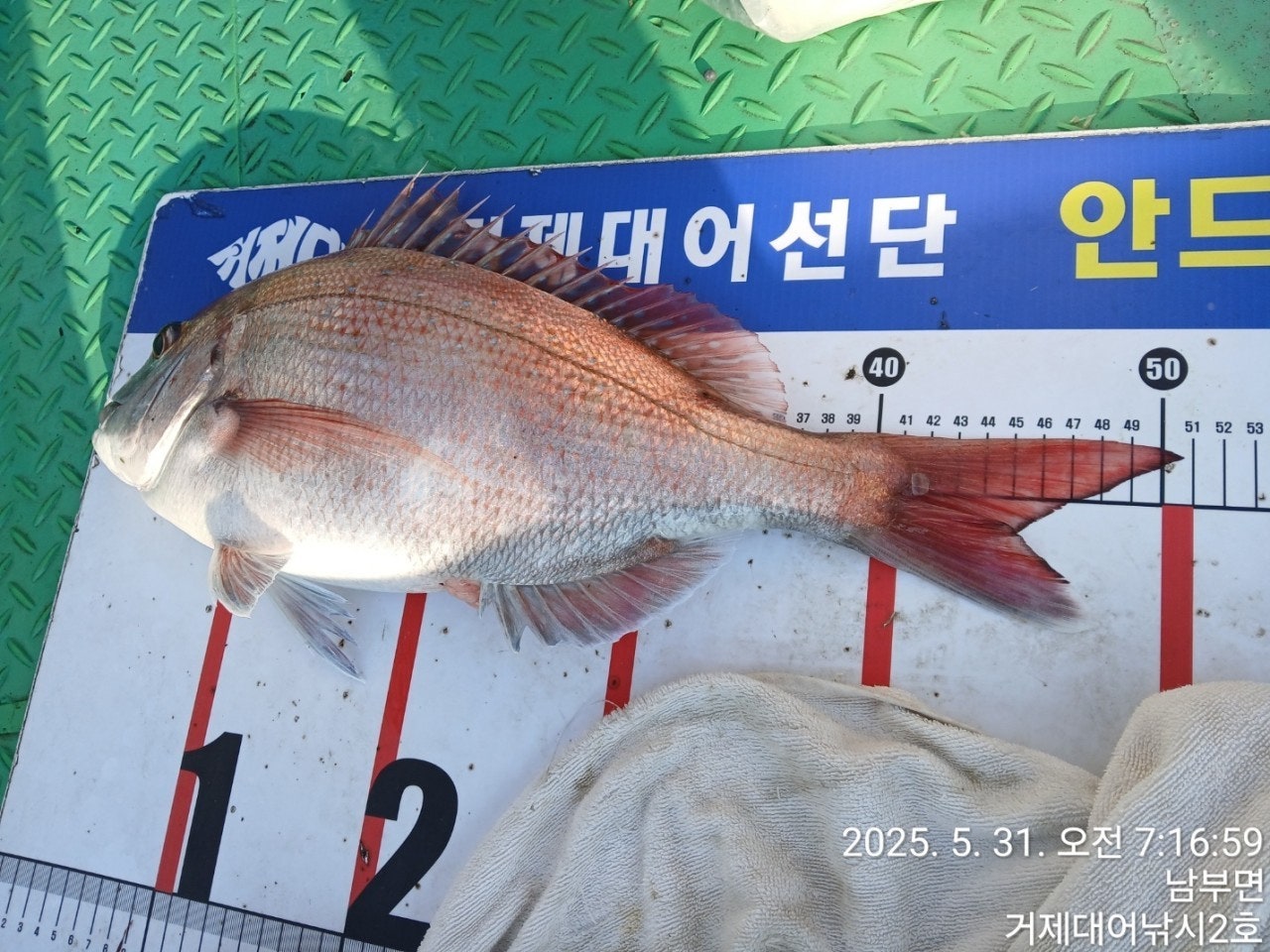 ����ڰ� �ø� �̹���