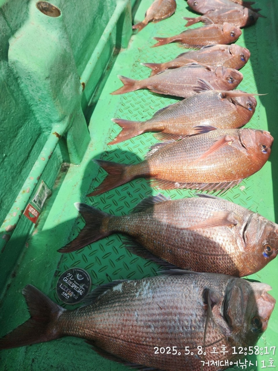 ����ڰ� �ø� �̹���