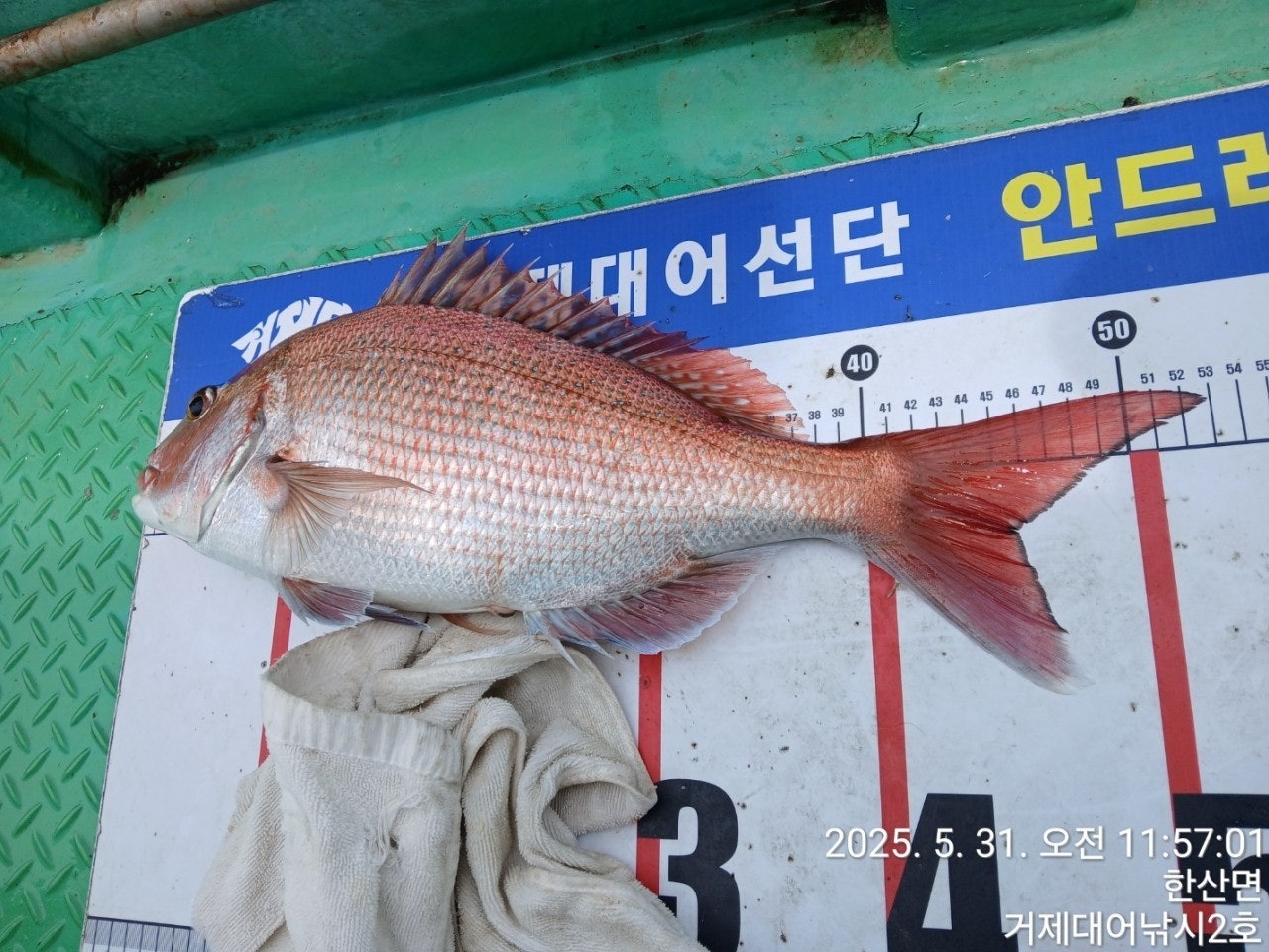 ����ڰ� �ø� �̹���