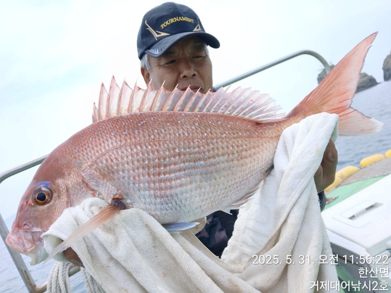 ����ڰ� �ø� �̹���