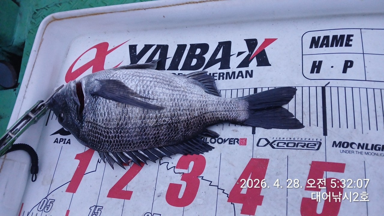 ����ڰ� �ø� �̹���