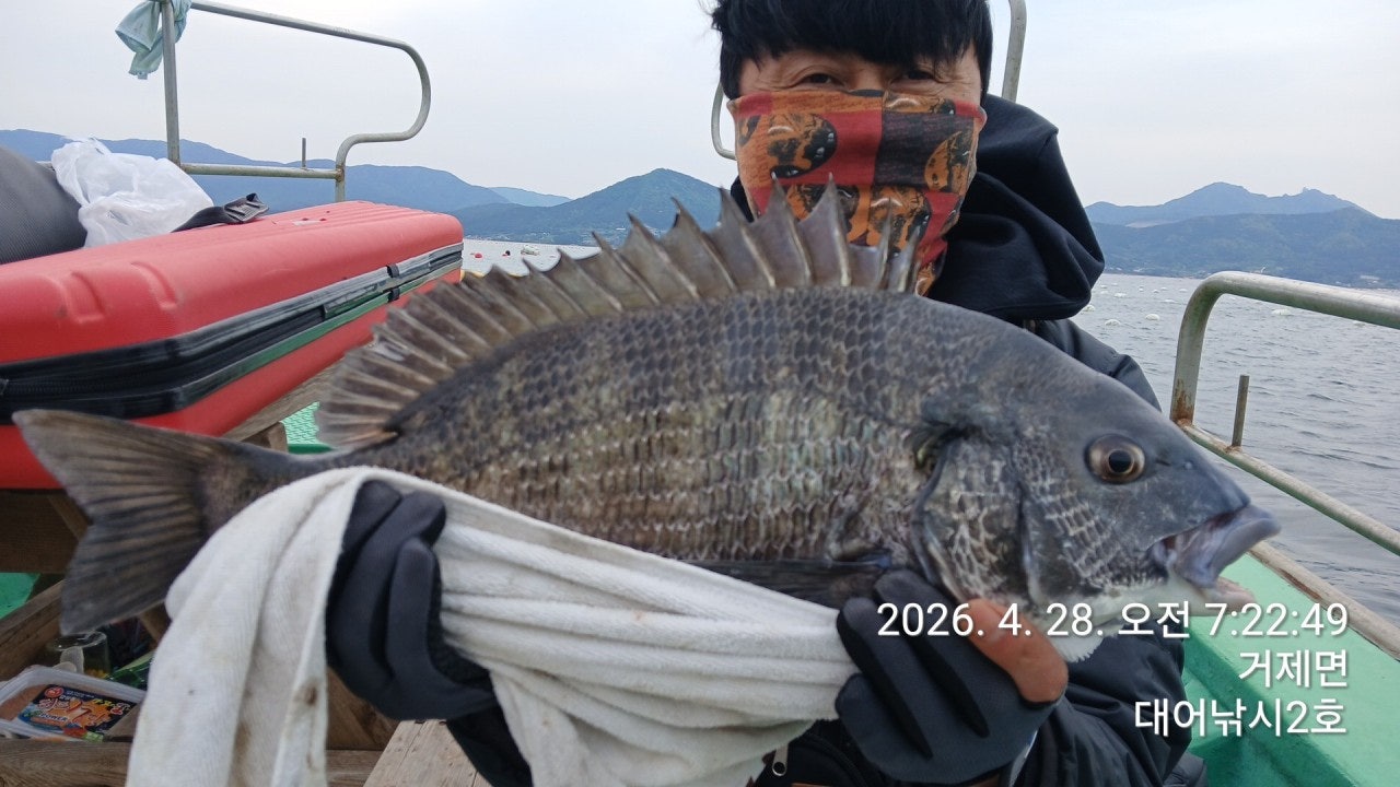 ����ڰ� �ø� �̹���