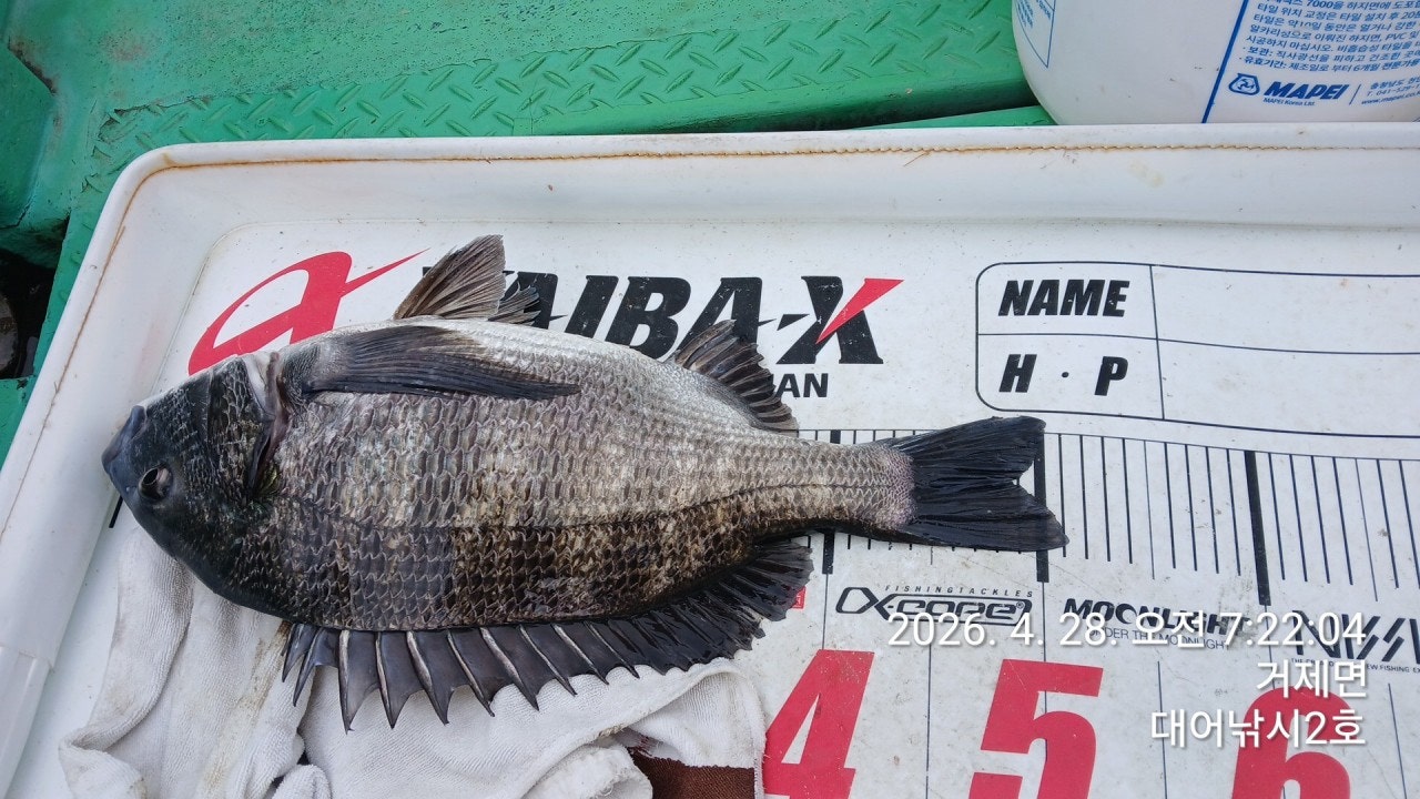 ����ڰ� �ø� �̹���