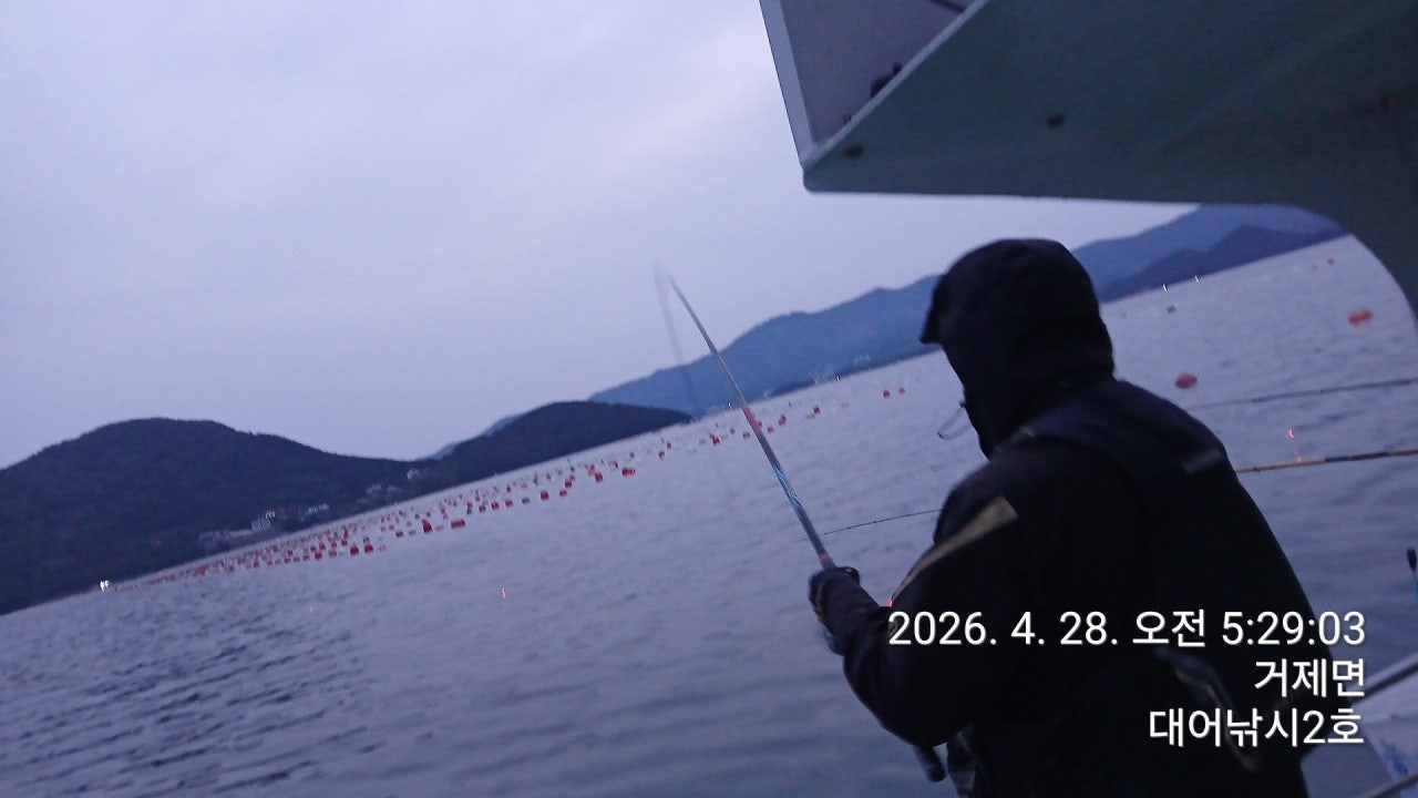 ����ڰ� �ø� �̹���