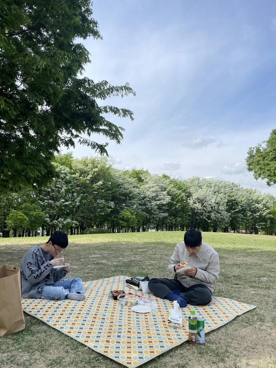 사용자가 올린 이미지