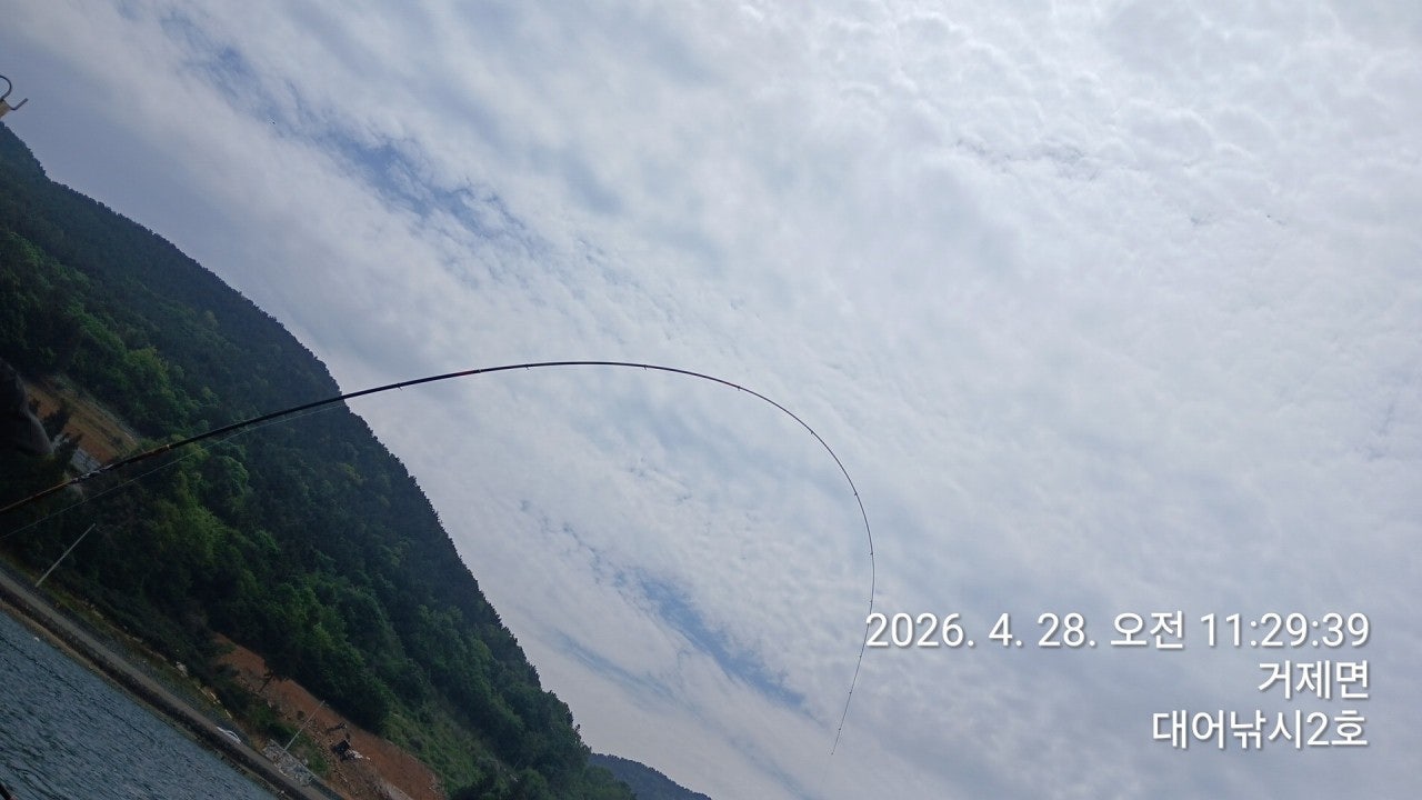 ����ڰ� �ø� �̹���