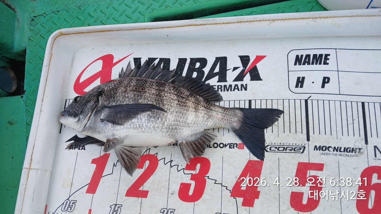 ����ڰ� �ø� �̹���