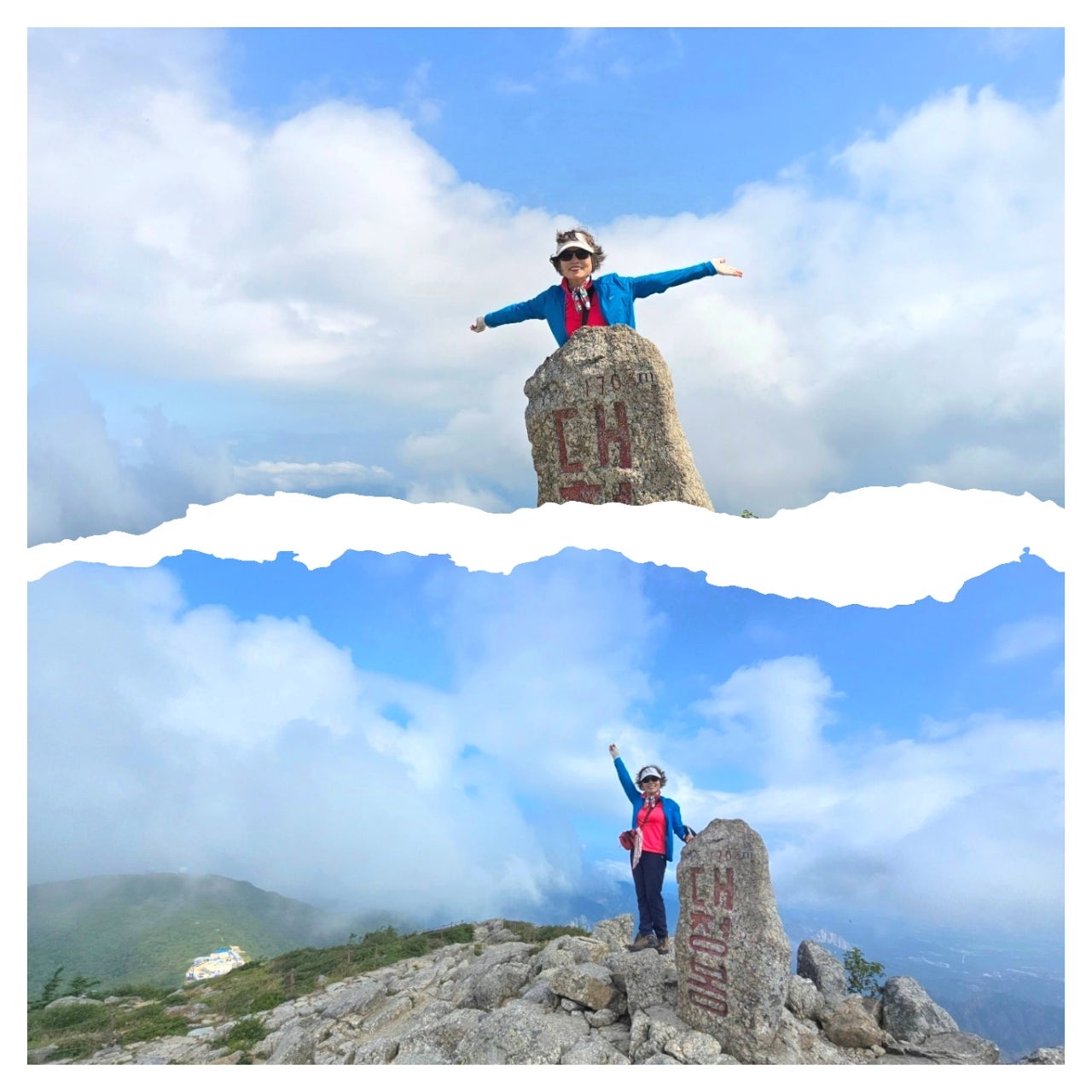 사용자가 올린 이미지